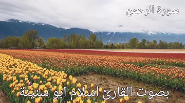 سورة الرحمن بصوت هادء بصوت القارئ اسلام ابو سنينة