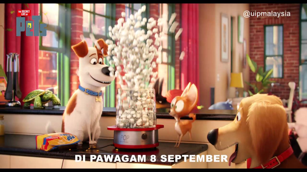 THE SECRET LIFE OF PETS l SPORTS l 8 SEPT