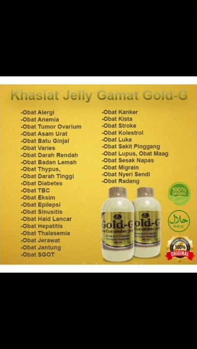 Manfaat Gamat Gold #obatherbal #gamat