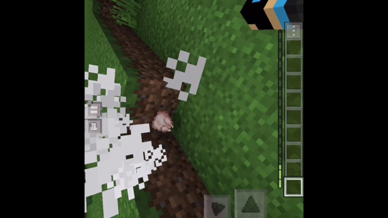 Hur Man Gör En Egen Minecraft Server