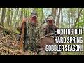 Turkey Hunting: Our Patience FINALLY paid off with These pressured and henned up Birds!