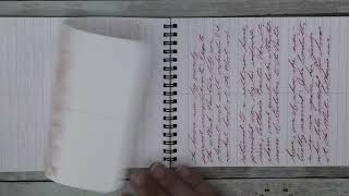 FieldNotes Steno notebook Fountain Pen Ink