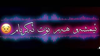 Hama zirak Danishtni Sangar baritani Track_5حەمە زیرەک ئەوگۆرانیەی تەقایەوە چەن خۆشبوو ئەودەمانەی ?