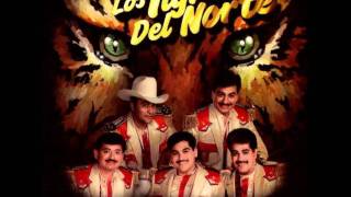 LOS TIGRES DEL NORTE - Amores que van y vienen chords