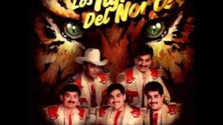LOS TIGRES DEL NORTE - Amores que van y vienen