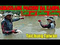 Catch and Outdoor Cooking : Daming Silver Carp sa ilog na ito (NET FISHING)