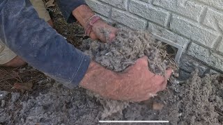 видео: Хозяин дома в шоке, увидев, что внутри! ЧИСТКА ВЕНТИЛЯЦИОННОГО ОТВЕРСТИЯ СУШИЛЬНОЙ МАШИНЫ! #almet... картинка: Хозяин дома в шоке, увидев, что внутри! ЧИСТКА ВЕНТИЛЯЦИОННОГО ОТВЕРСТИЯ СУШИЛЬНОЙ МАШИНЫ! #almet...