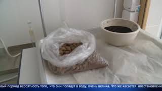 Жители посёлка говорят что испортили здоровье из-за местной птицефабрики Жители посёлка говорят что испортили здоровье из-за местной птицефабрики