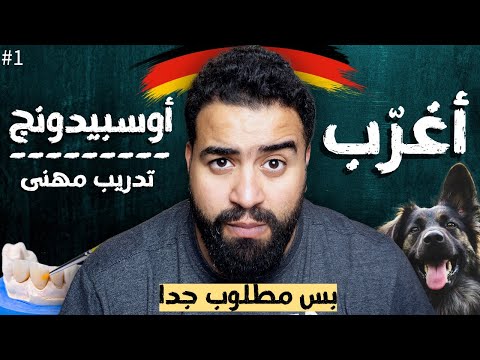 مهن محدش يعرف إنها تدريب مهني بس الشركات بتموت عليها