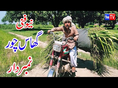 funny|-new-top-funny-comedy-video-|-comedy-videos-|must-watch-top-new-comedy-video-2020-|-you-tv