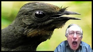 Ave Lira - Olavo de Carvalho