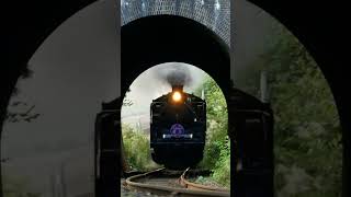 【芹沼トンネル飛び出し】JR東日本・磐越西線  「SLばんえつ物語」JR EAST class C57 passing ”Serinuma Tunnel” in Banetsu west line.