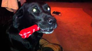 Darth Vader Dog by David Goodman 202 views 12 years ago 34 seconds