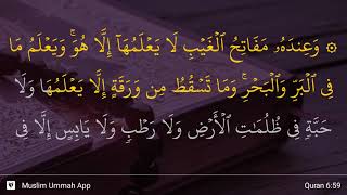 Al-An'am ayat 59