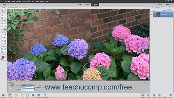 Photoshop Elements 2020 Tutorial Using the Dodge Tool and the Burn Tool Adobe Training