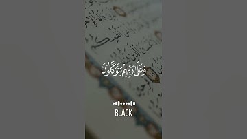 أجمل ايات القرآن الكريم #راحه_للقلب #قران_كريم