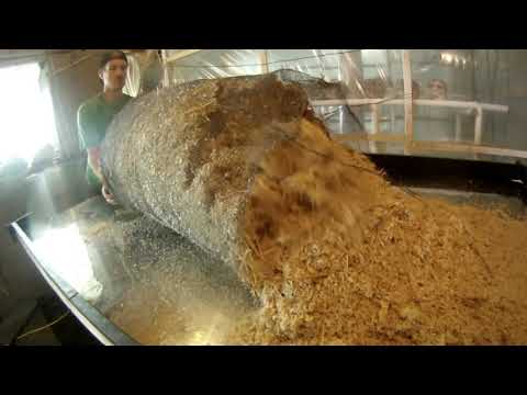 Videó: A shiitake szalmán fog nőni?