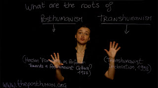 The Philosophical Roots of Posthumanism and Transhumanism - Dr. Ferrando (NYU), concept 3