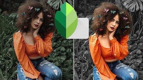 Snapseed black & white background editing/ snapseed new editing tricks/snapseed effect editing