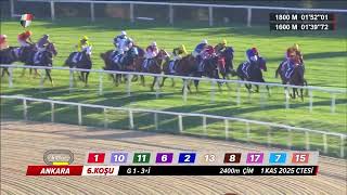 2025 Cumhurbaşkanliği Koşusu (G1 , 3 Ve Yukari İngi̇li̇zler)