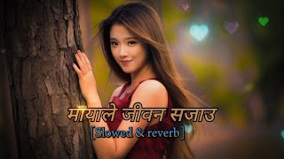 Mayale Jiban Sajau-Asmita Adhikari / nepali song / slowed and reverb /