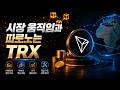 [3부] 시장 움직임과 따로 노는 TRX