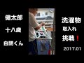 20170131洗濯物取り込みに挑戦〜（笑）