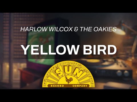 Yellow Bird | Harlow Wilcox & The Oakies (Official Audio)