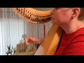 Stuck on You -- cover -- folk harp