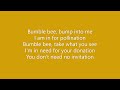 AQUA Bumble Bees Lyrics AQUA Bumble Bees Lyrics