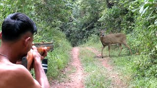 Full video : 4 days of hunting struggle to attract deer, monitor lizards & birds in the rainy season