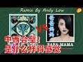 西方绕舌+中国女声+民乐 中西合璧！ 是什么样得感觉 ! TheAPLSong Vs 爸爸妈妈 [BABAMAMA]【王蓉】