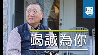 電視節目 TV1502 竭誠為你 (HD粵語)