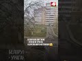 В Гродно — снегопад и штормовой ветер. Но белорускам всё нипочём...