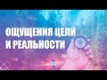 Как ощущать и цель и реальность. ЮНЕВЕРСУМ. Проект Вячеслава Юнева