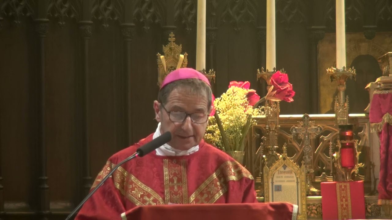 Homélie des confirmations - 20 juin 2026 (Mgr Brac de La Perrière)