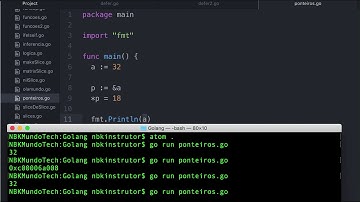 0010-42 Como Definir Ponteiros na Linguagem Golang - Aula de Go
