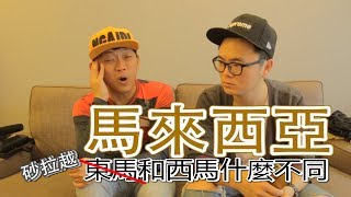 東馬和西馬的差別ft Johnsom梁智勇 