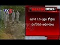 Bird Flu alert at Bidar, in Karnataka