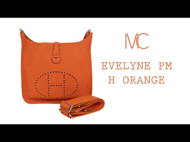 Hermès Evelyne Bag PM Orange Clemence Leather - Palladium