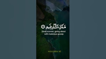 فلا تطع المكذبين ودوا لو تدهن فيدهنون // ما تيسر من #سورة_القلم -الآية 8 🎧🎧
