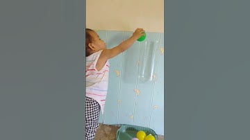 Play idea Montessori put the ball #montessori #sensoryactivity #toddlers