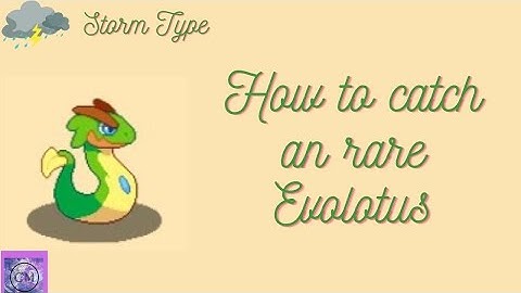 How to catch a rare Evolotus