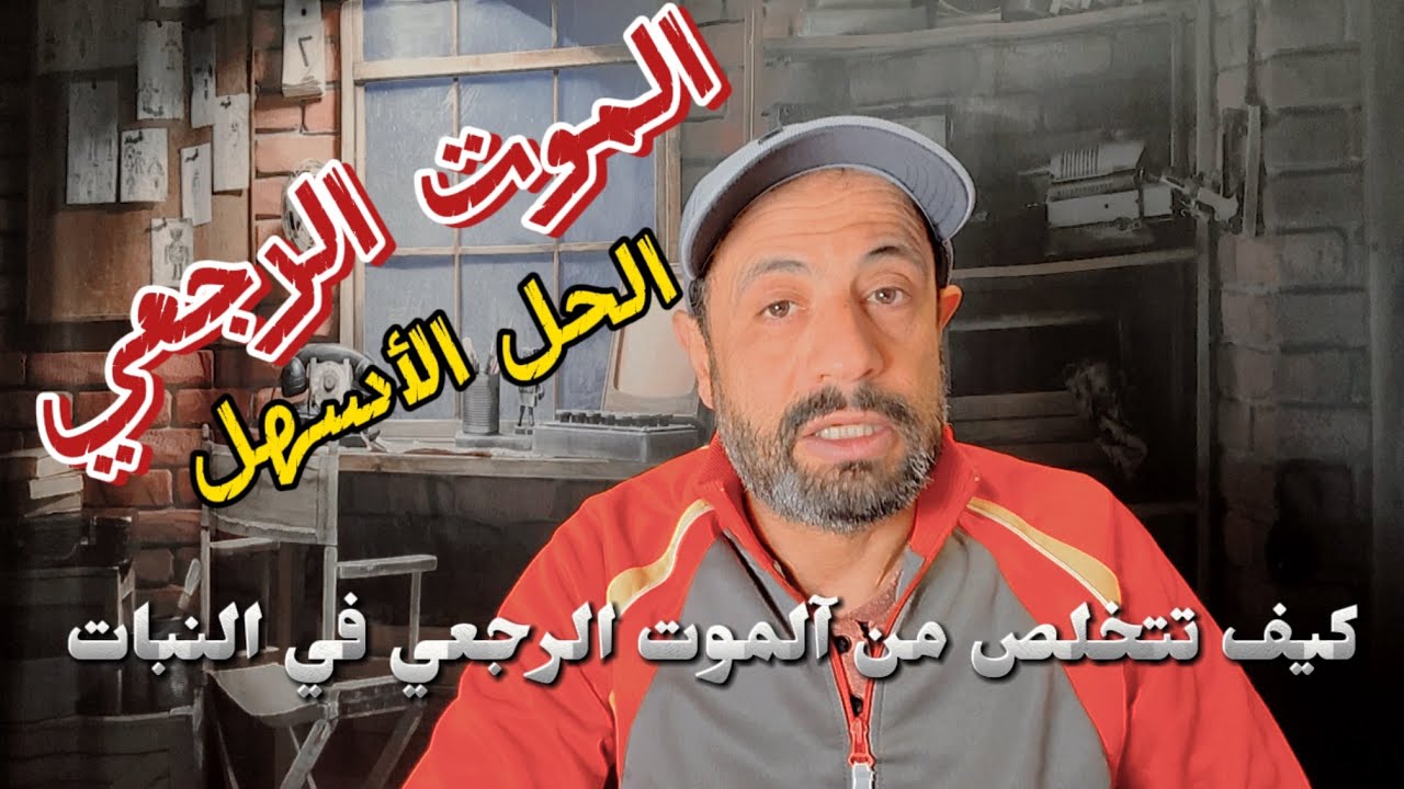 كيف تتخلص نهائياً من الموت الرجعي في نباتاتك بأسهل الطرق