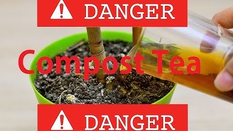 Why Brewing Compost Tea is Dangerous
