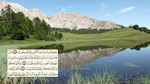 381-page سعد الغامدي - -سورة النملAN-NAML / LES FOURMIS -27