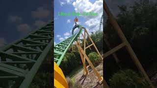cheetah Hunt#bushgardens #rollercoaster #amusementpark #frontroll #pov #shorts #viralshorts #fun #us