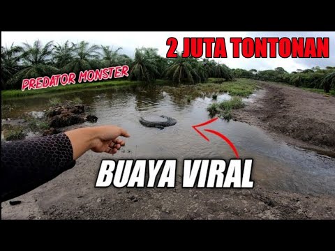 Video: Tirai logam dan rantaian khas dari KriskaDecor