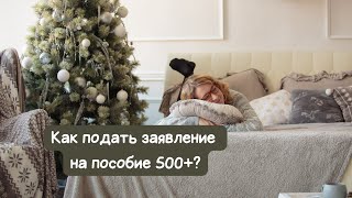 Видеоинструкция по подаче документов на пособие 500+