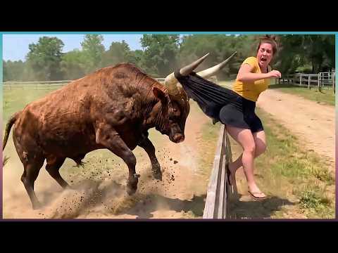 Funniest Farm Animals Caught on Camera